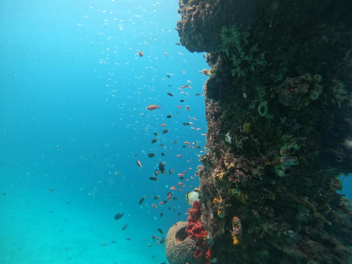 Meos Ambower Homestay Raja Ampat Fam Esterno foto