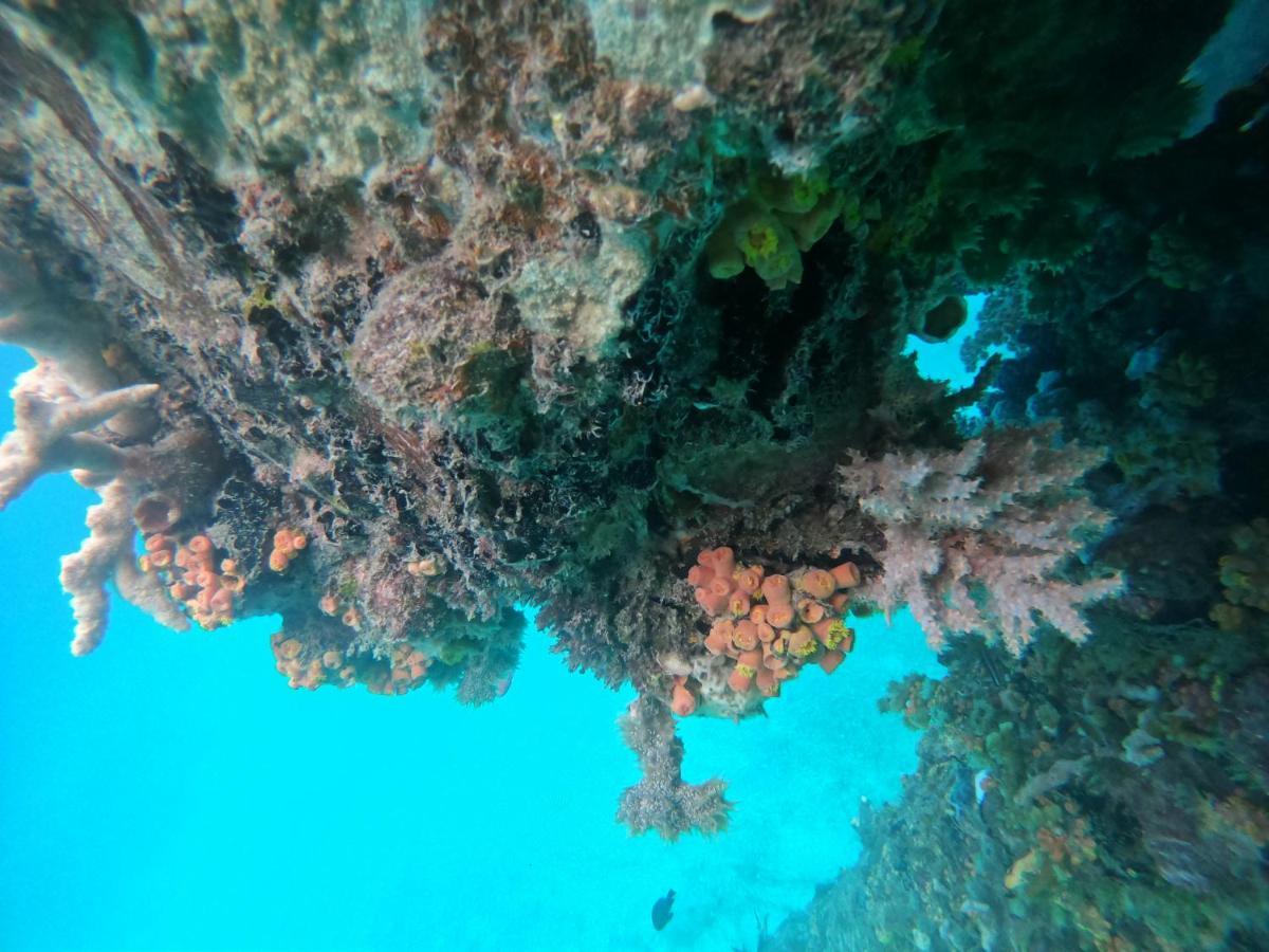 Meos Ambower Homestay Raja Ampat Fam Esterno foto