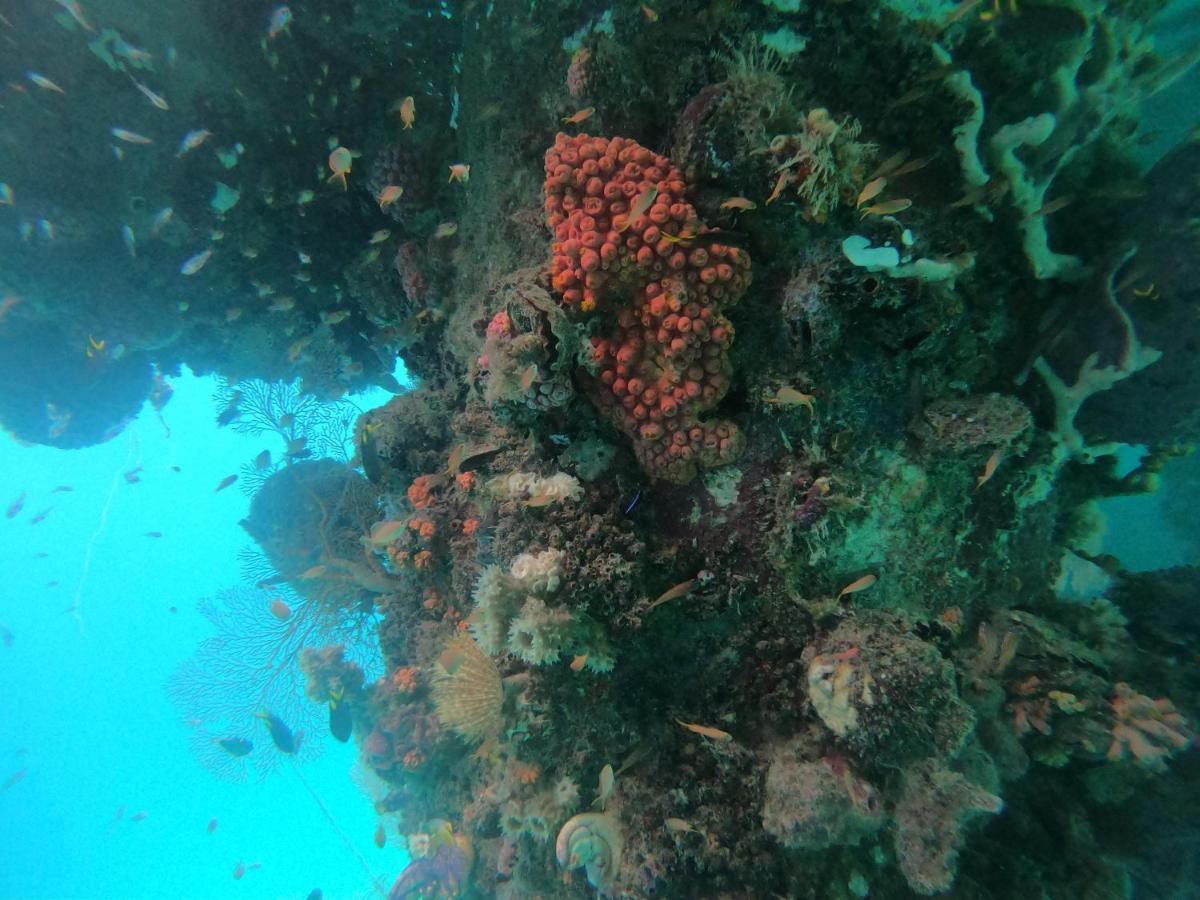 Meos Ambower Homestay Raja Ampat Fam Esterno foto