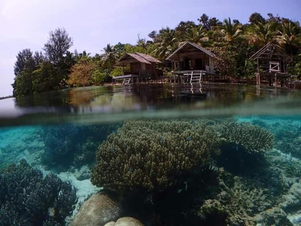 Meos Ambower Homestay Raja Ampat Fam Esterno foto